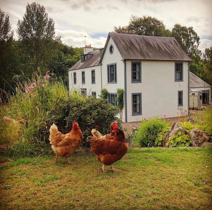 Photo of Others in Hawick