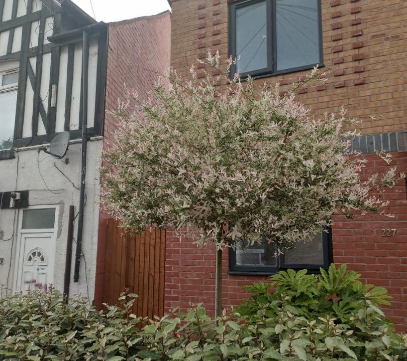 Photo of Buildings in Yardley