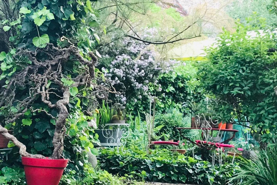 Photo of Others in Moulins