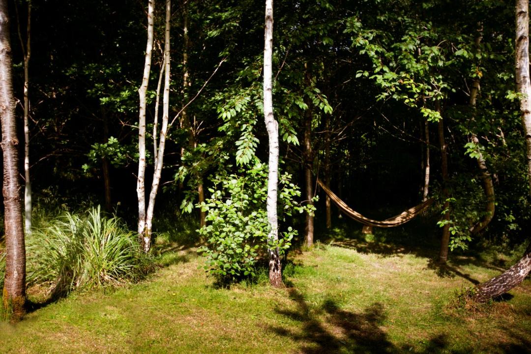 Photo of Others in Talaton