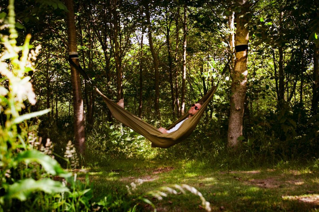 Photo of Others in Talaton