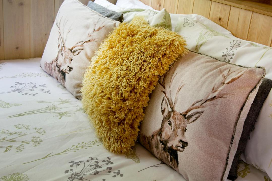 Photo of Others in Talaton