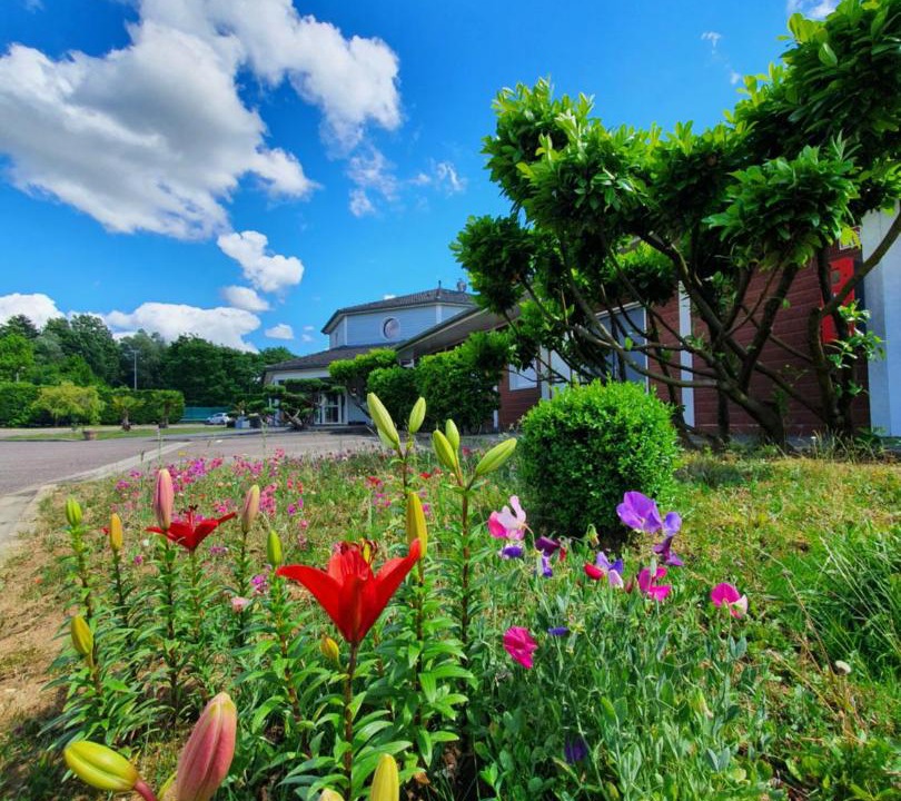 Photo of Others in Marolles