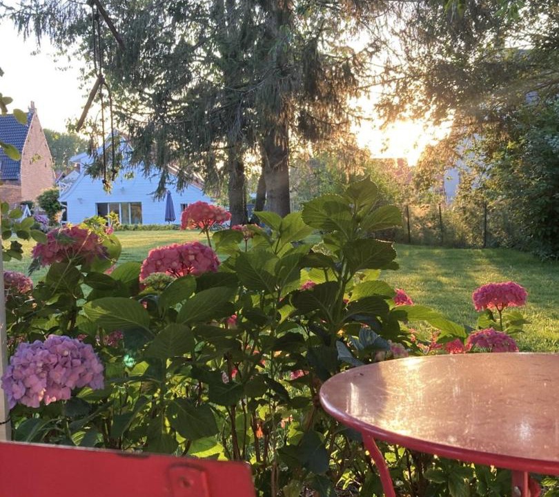 Photo of Others in Beuvry-la-Foret