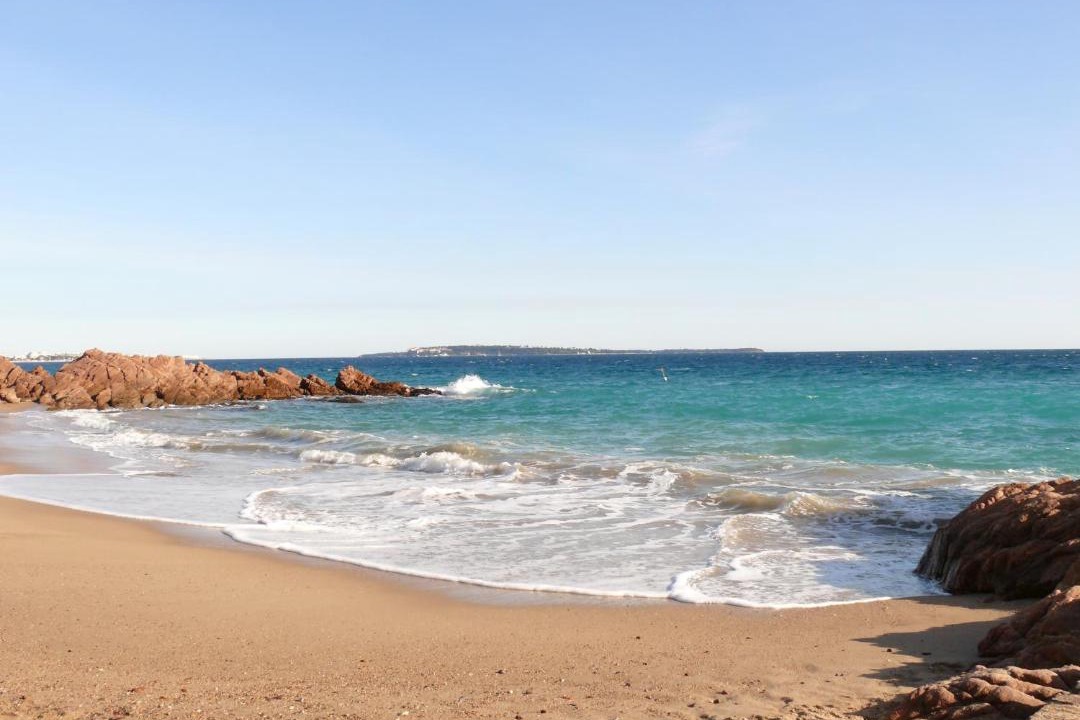 Photo of Others in La Bocca