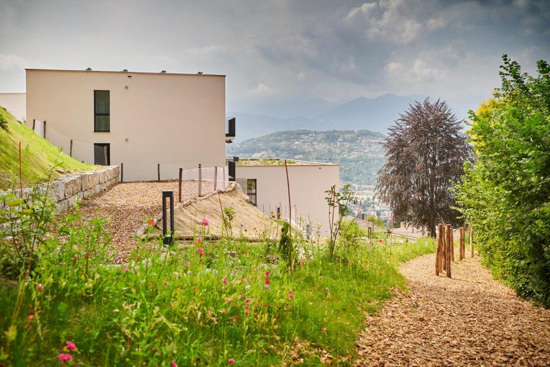 Photo of Others in Lugano