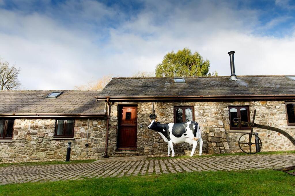 Photo of Others in Crynant