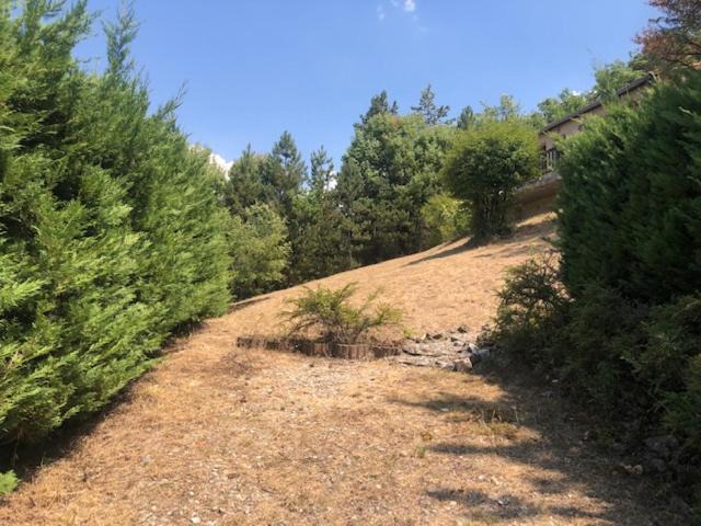 Photo of Others in Tallard