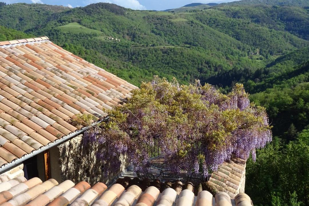 Photo of Others in Gluiras