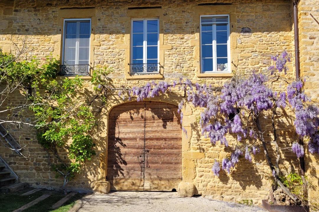 Photo of Others in Saint-Germain-sur-l'Arbresle