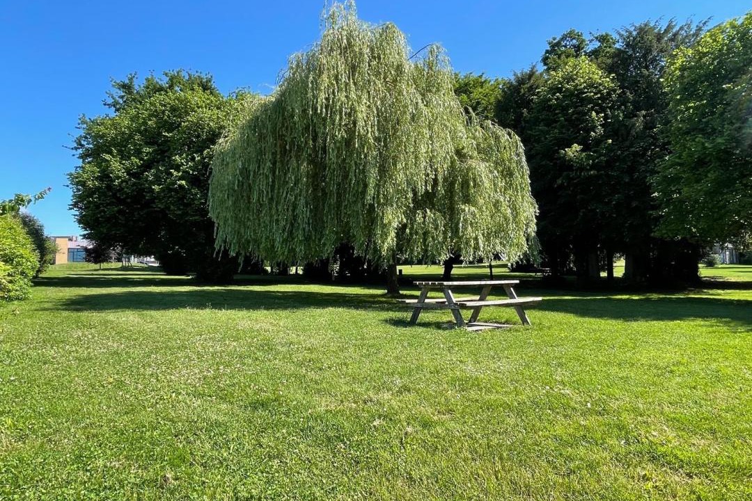 Photo of Others in Retiers