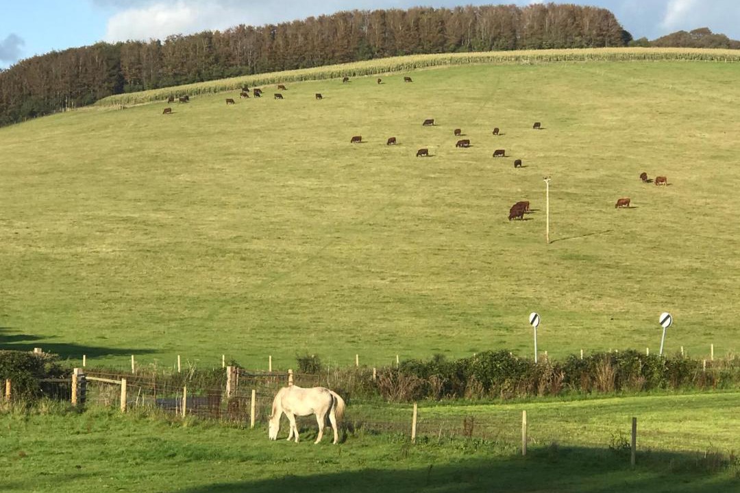 Photo of Others in Charlton