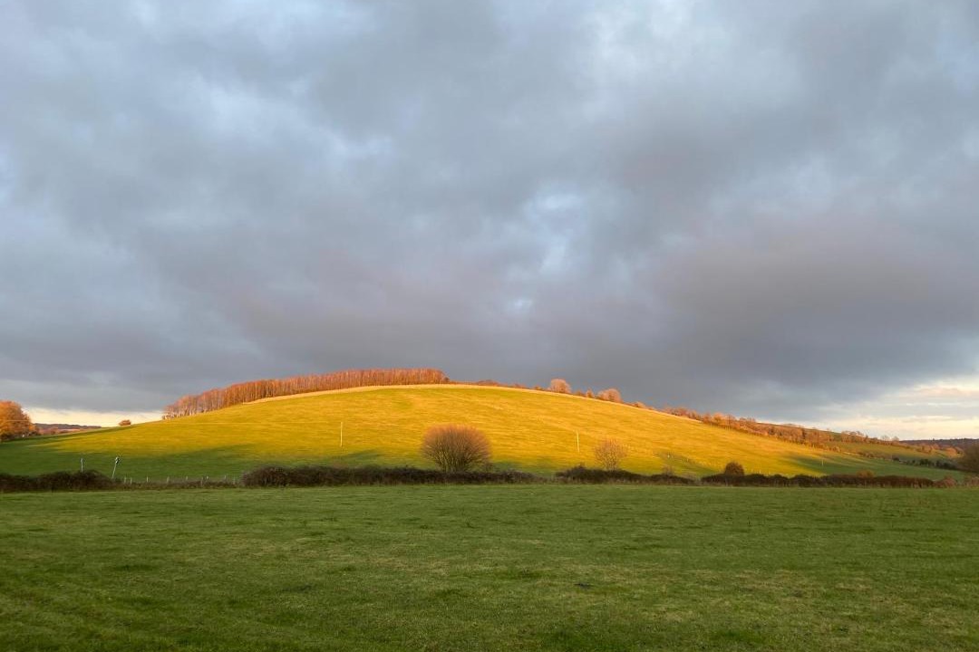 Photo of Others in Charlton