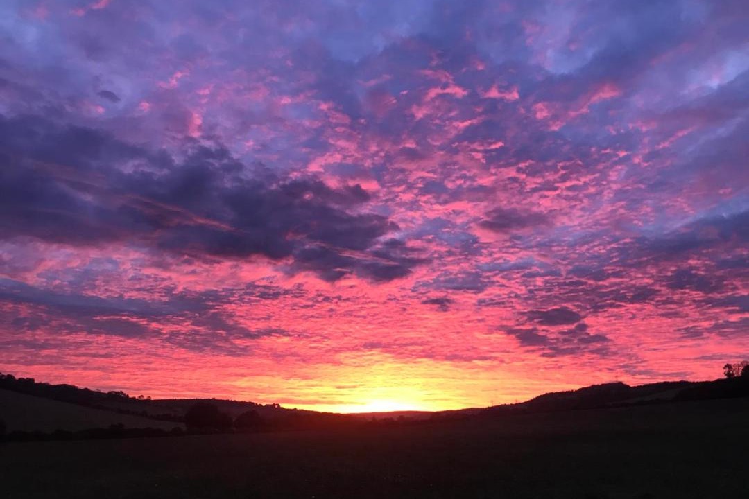 Photo of Others in Charlton