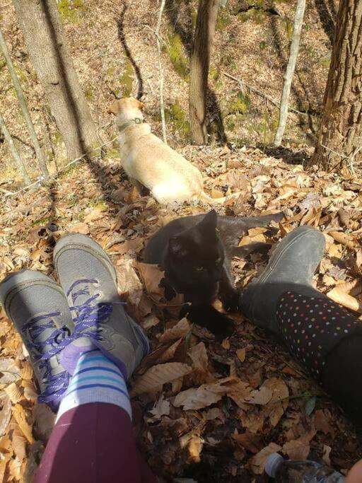 Photo of Others in Stanton