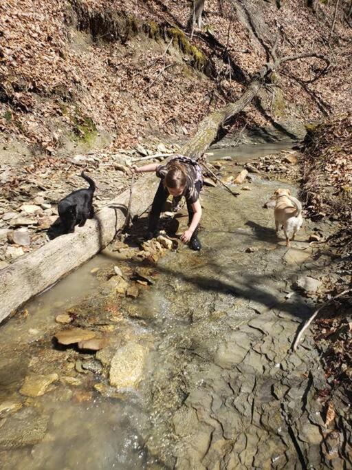 Photo of Others in Stanton