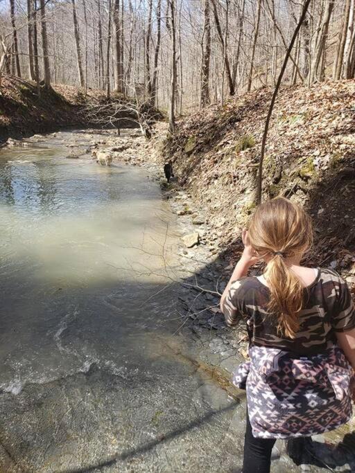 Photo of Others in Stanton