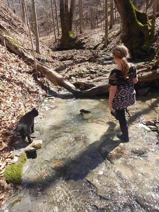 Photo of Others in Stanton