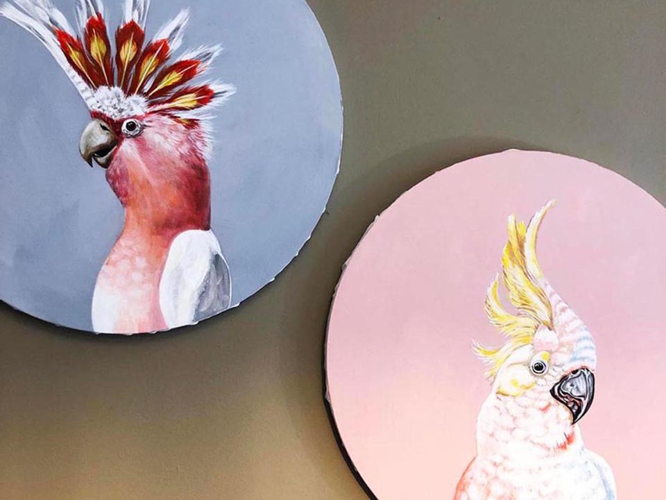 Photo of Others in Clitheroe