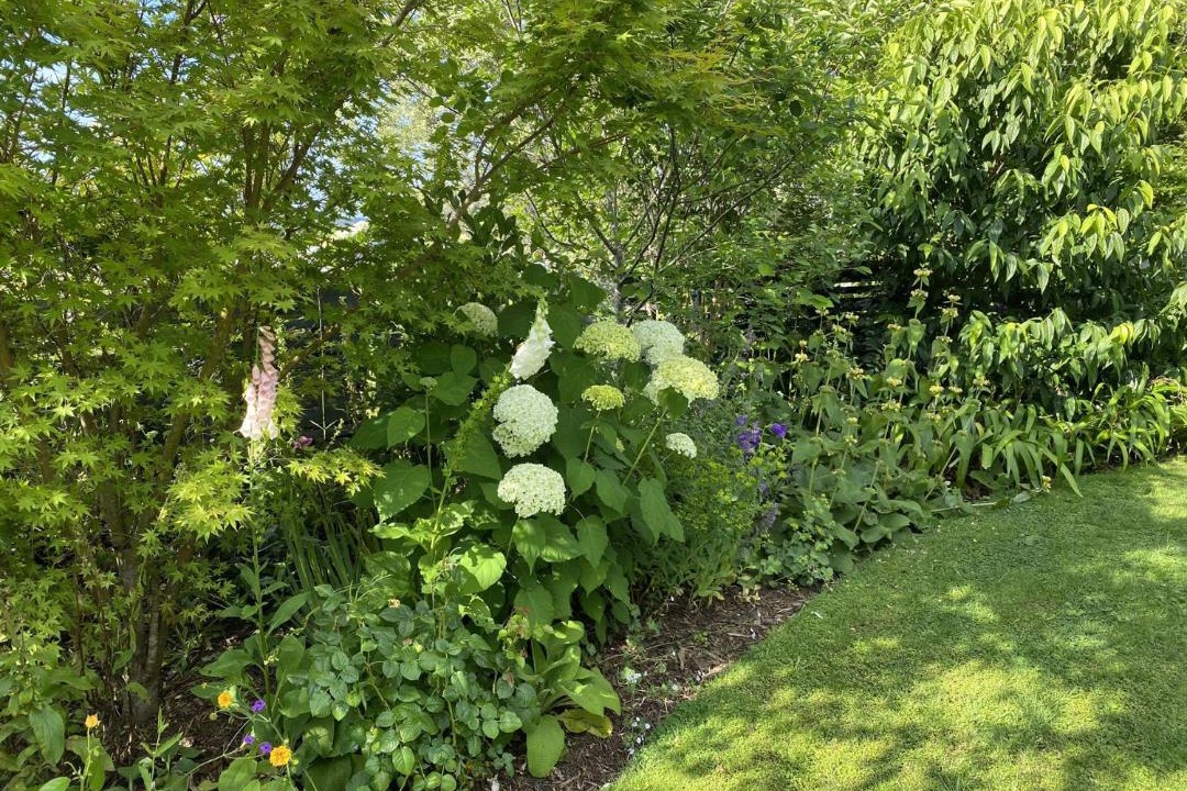 Photo of Outdoor in Kerikeri