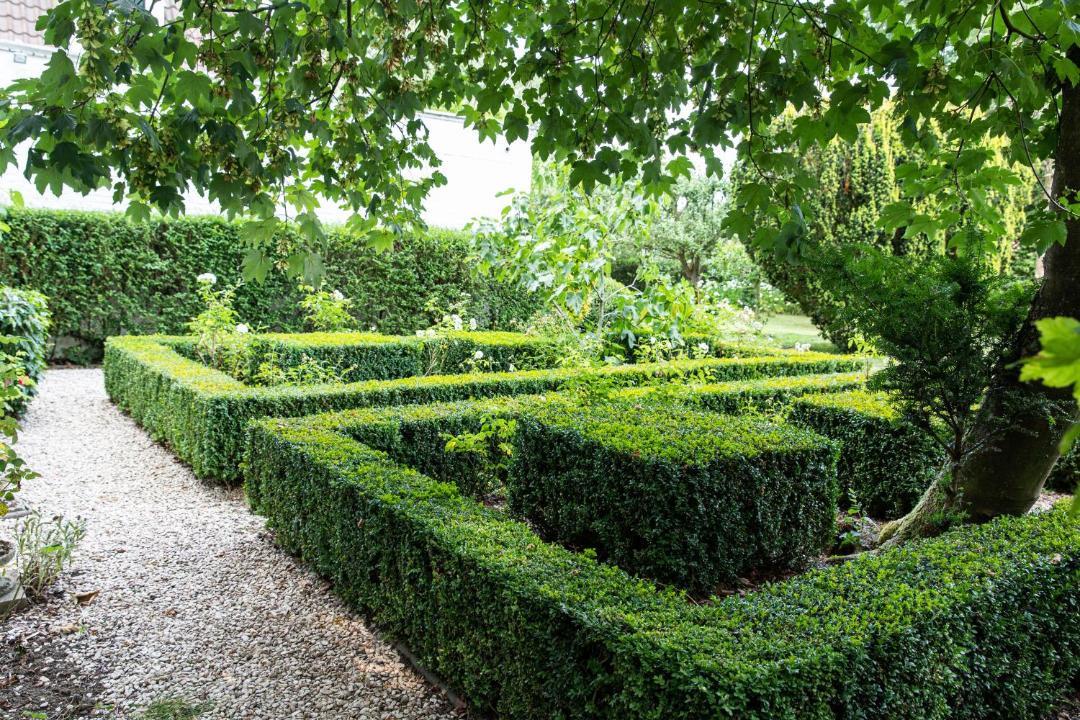 Photo of Others in Wervicq-Sud