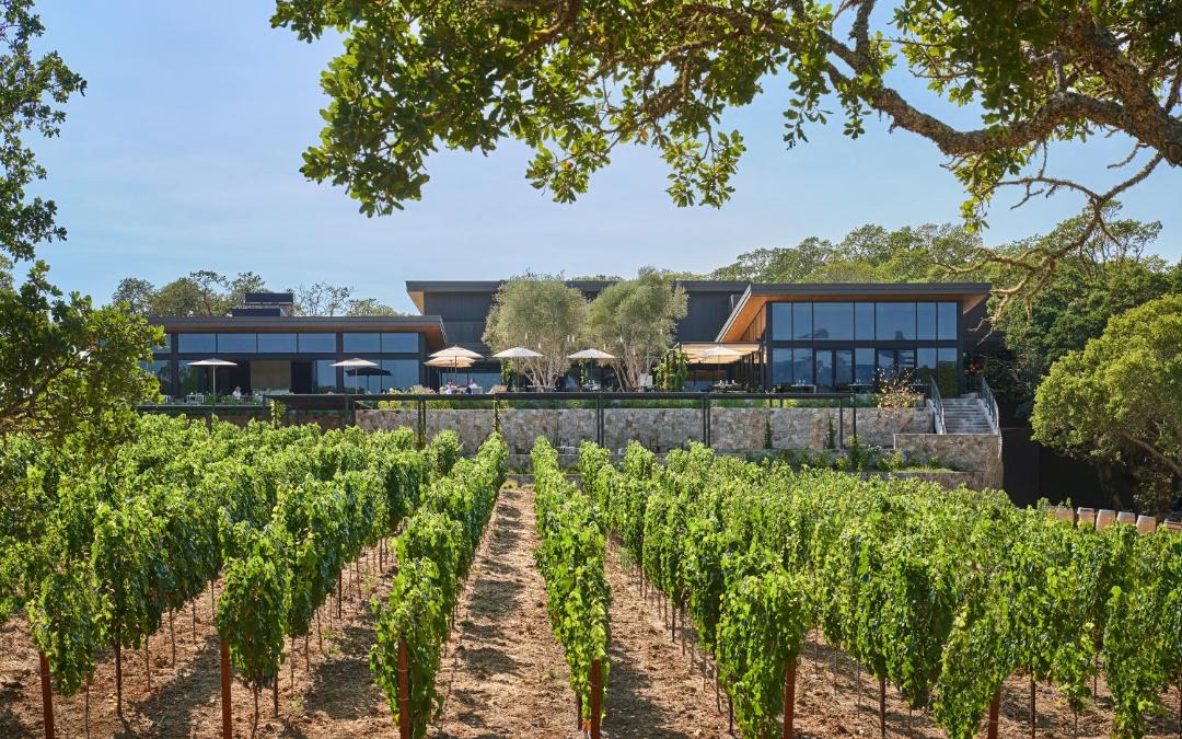 Photo of Others in Healdsburg