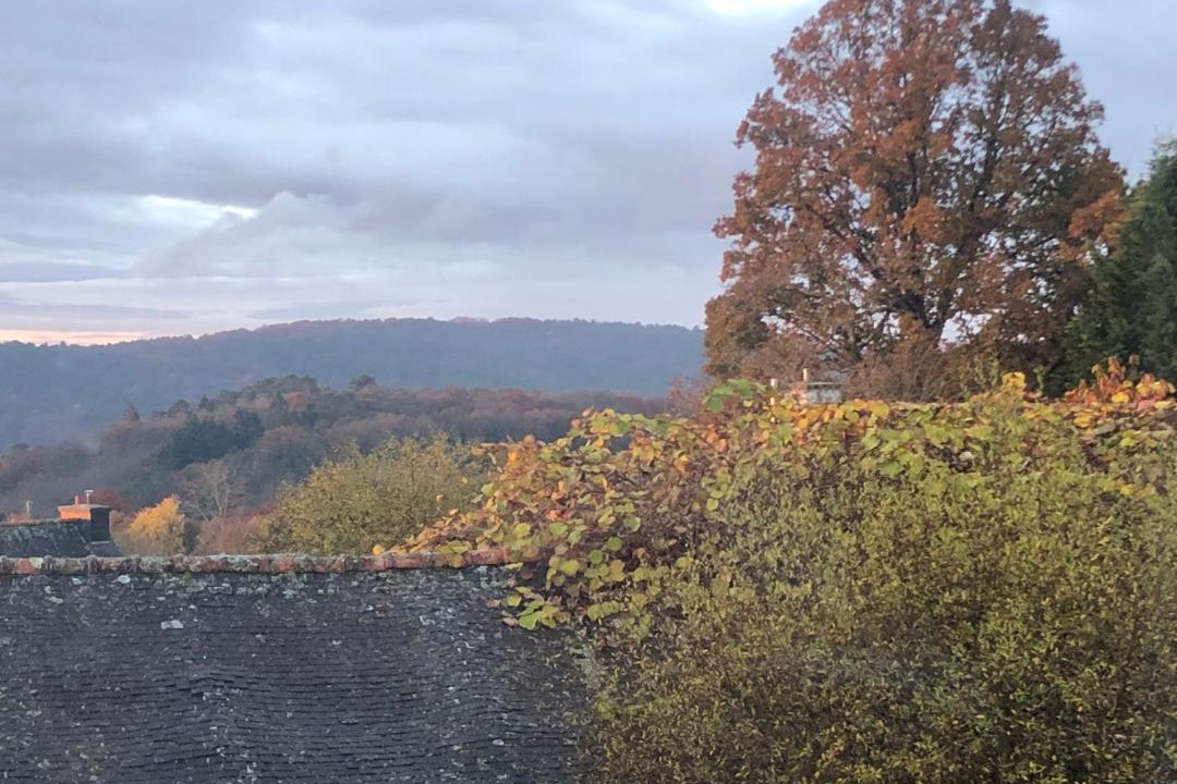 Photo of Others in Caurel