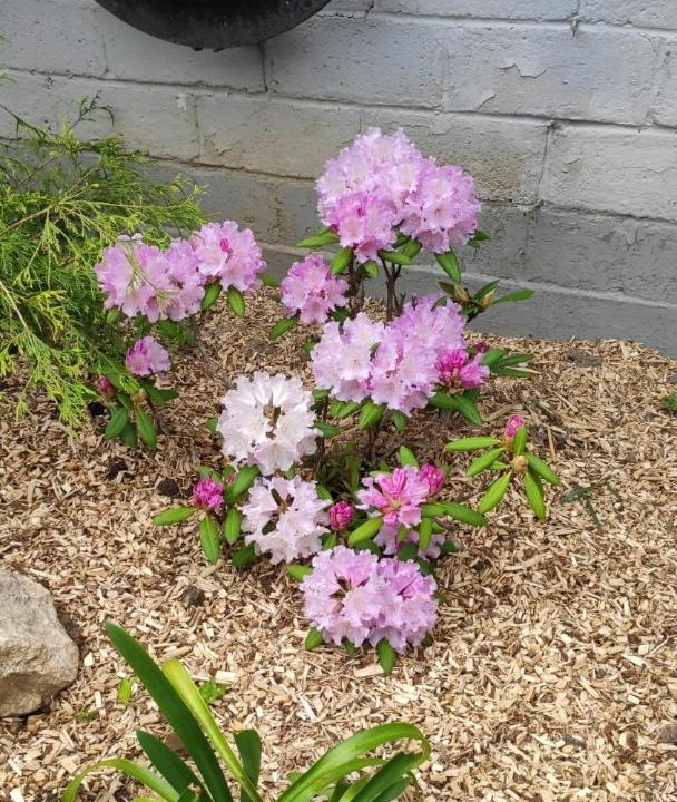 Photo of Others in Clerques