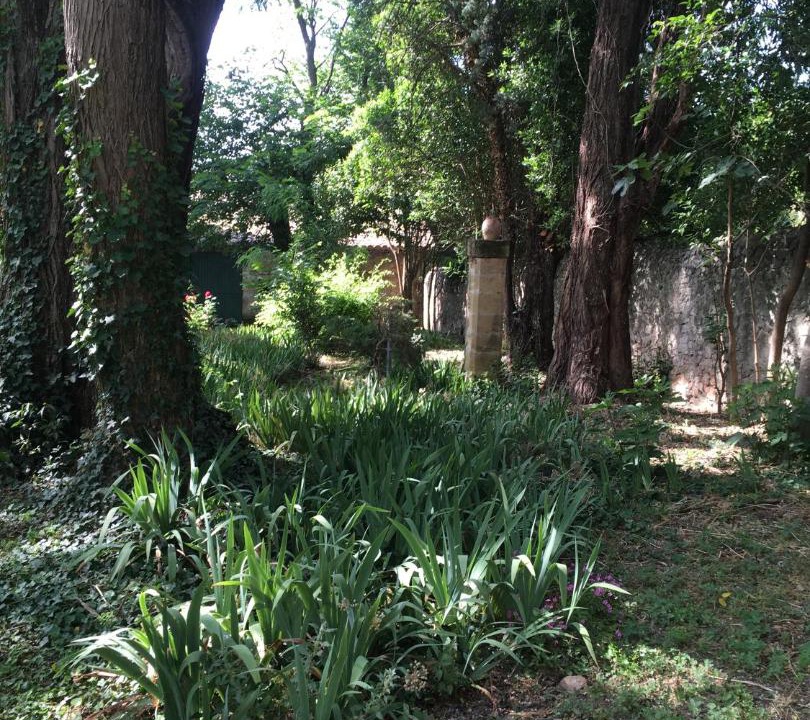 Photo of Others in Roquemaure