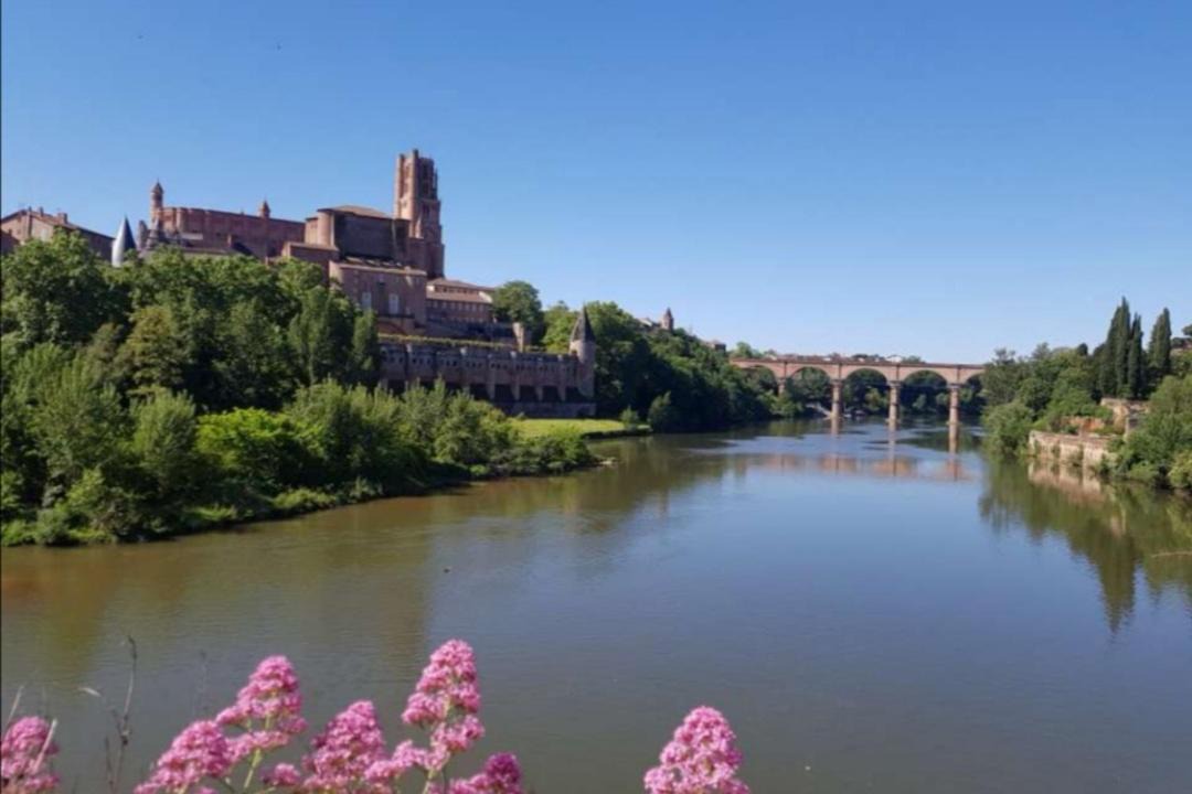 Photo of Others in Albi