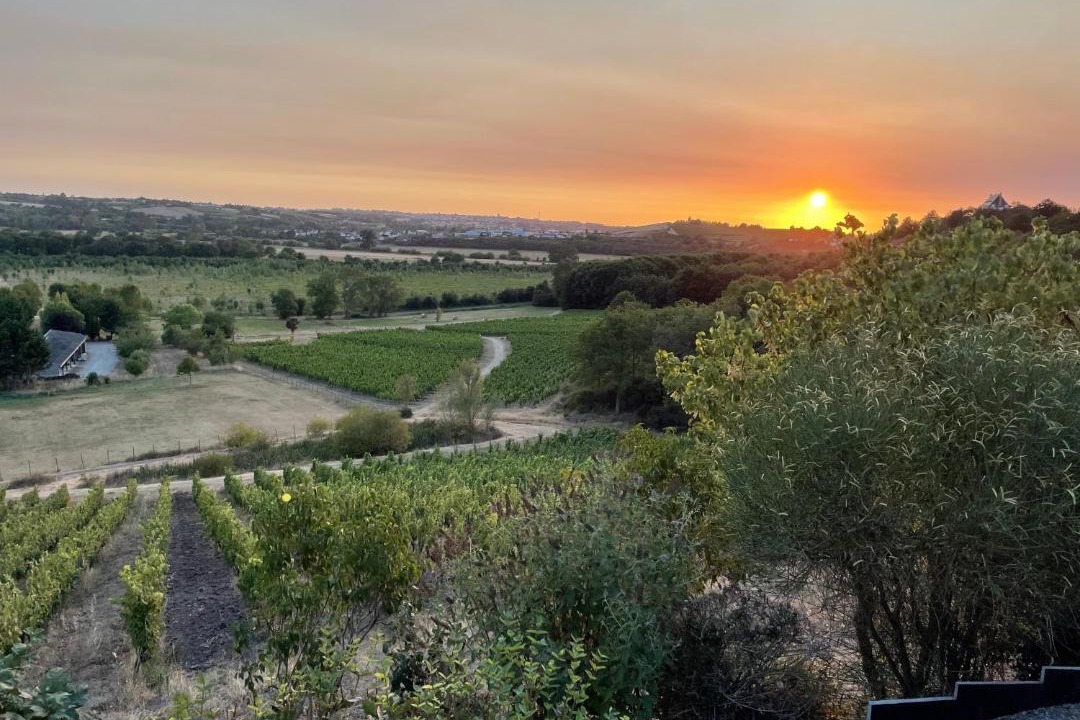 Photo of Others in Loire Layon Aubance