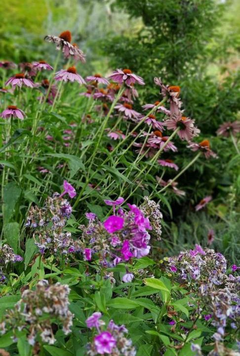 Photo of Others in Watronville