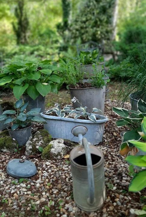 Photo of Others in Watronville