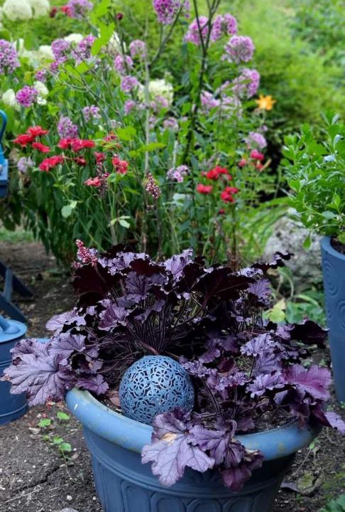 Photo of Others in Watronville