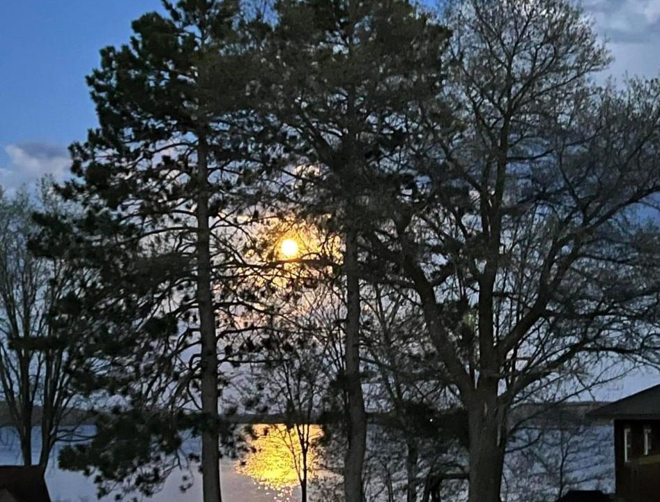 Photo of Buildings in Hayward