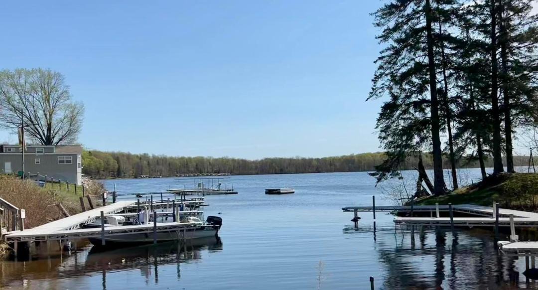 Photo of Others in Hayward