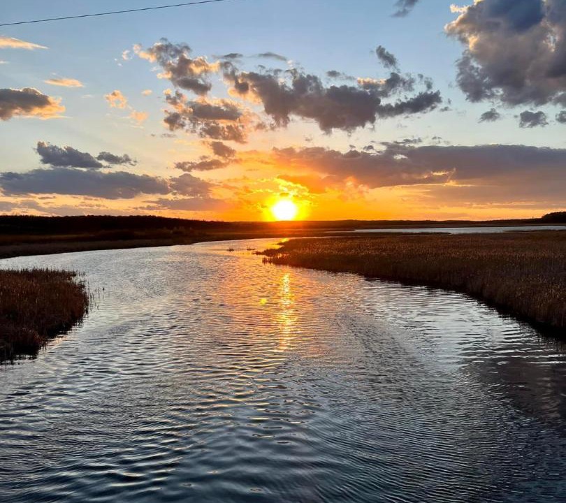 Photo of Outdoor in Hayward