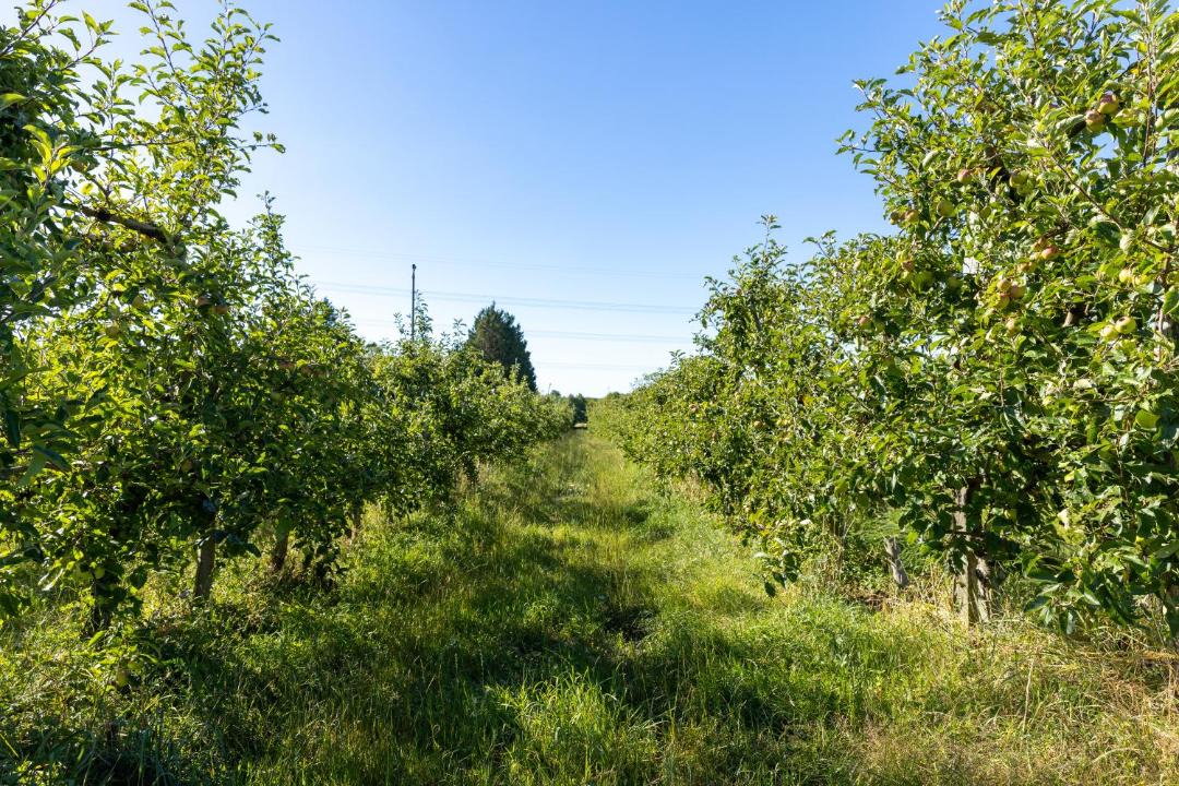 Photo of Outdoor in Azay-le-Rideau