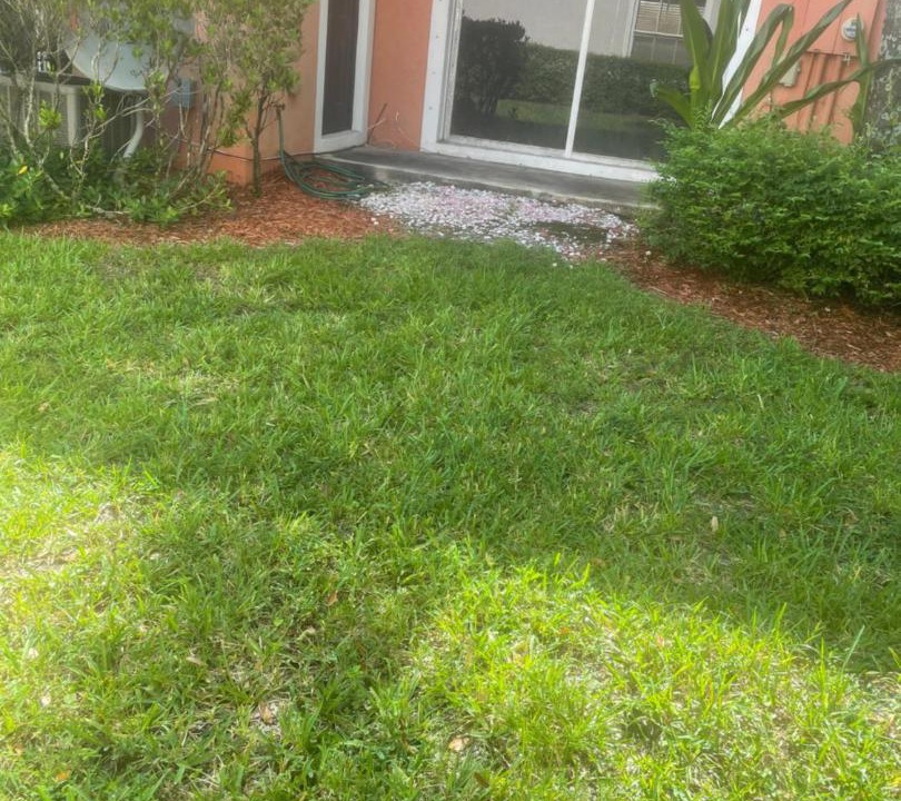 Photo of Others in Miramar