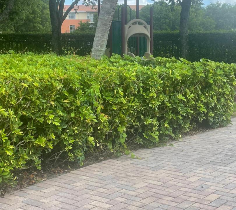 Photo of Others in Miramar