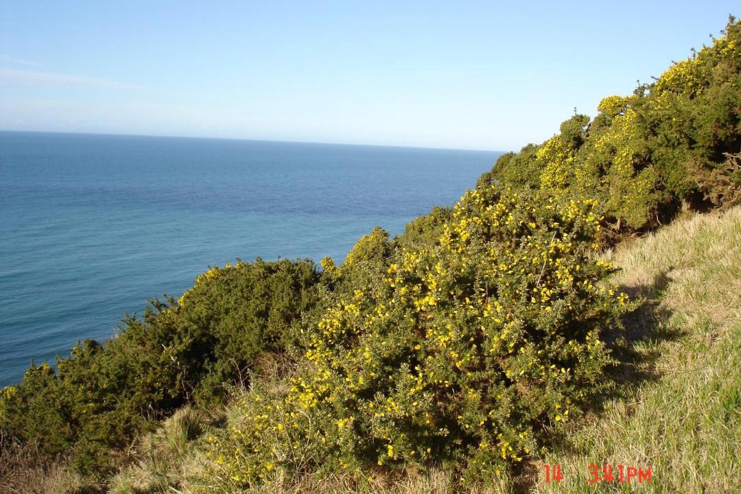 Photo of Outdoor in Eletot