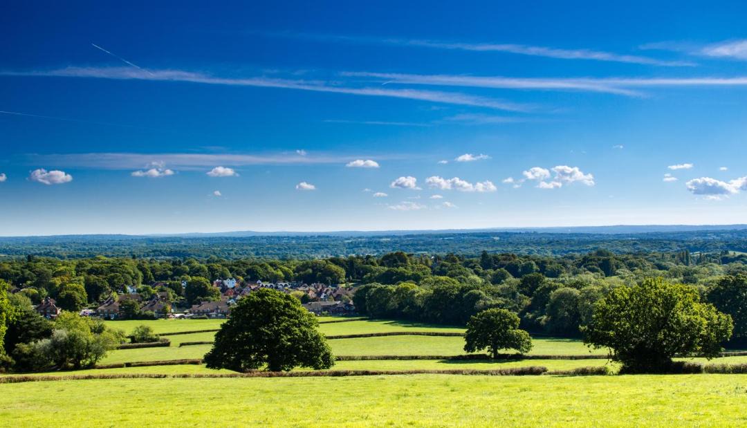 Photo of Others in Ewhurst