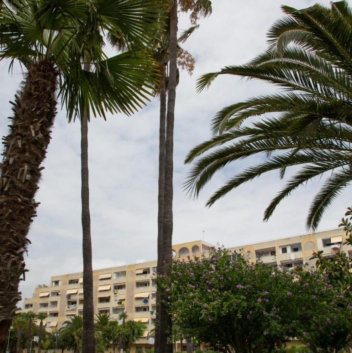 Photo of Others in Playa Pobla de Farnals