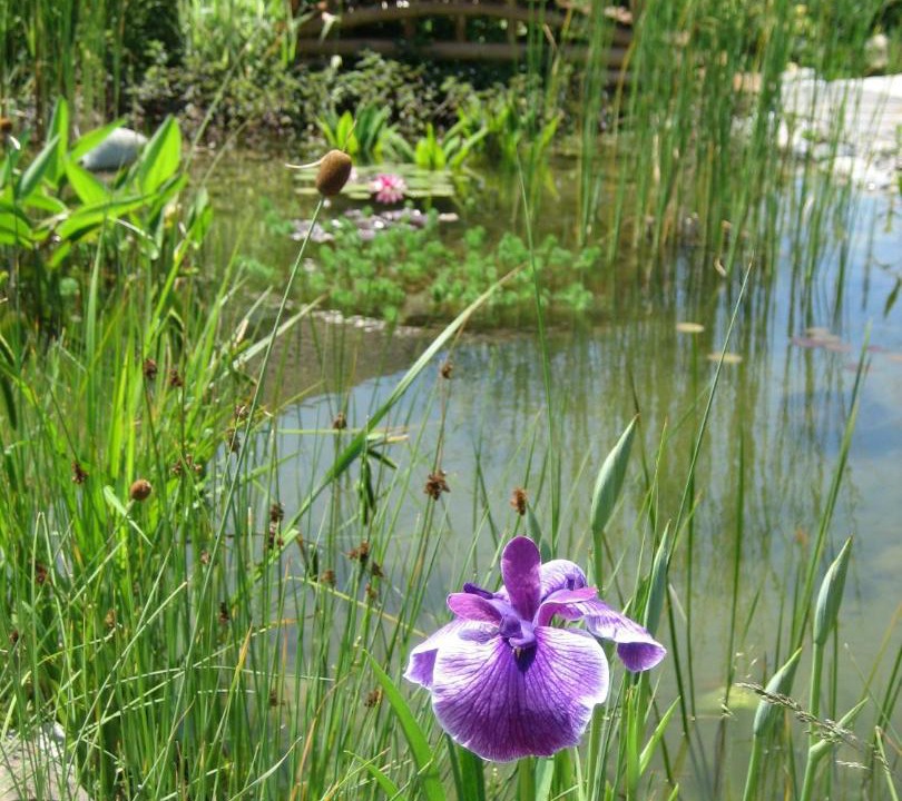 Photo of Outdoor in Choisy