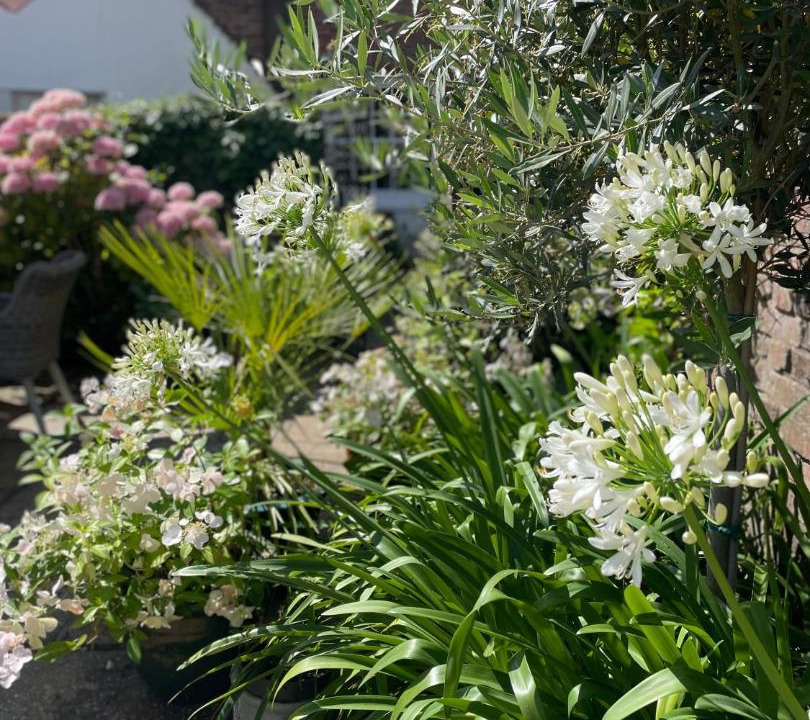 Photo of Others in Chichester