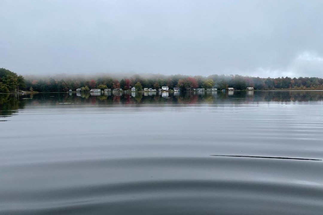 Photo of Others in Oxford