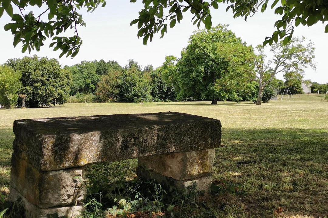 Photo of Others in Segonzac