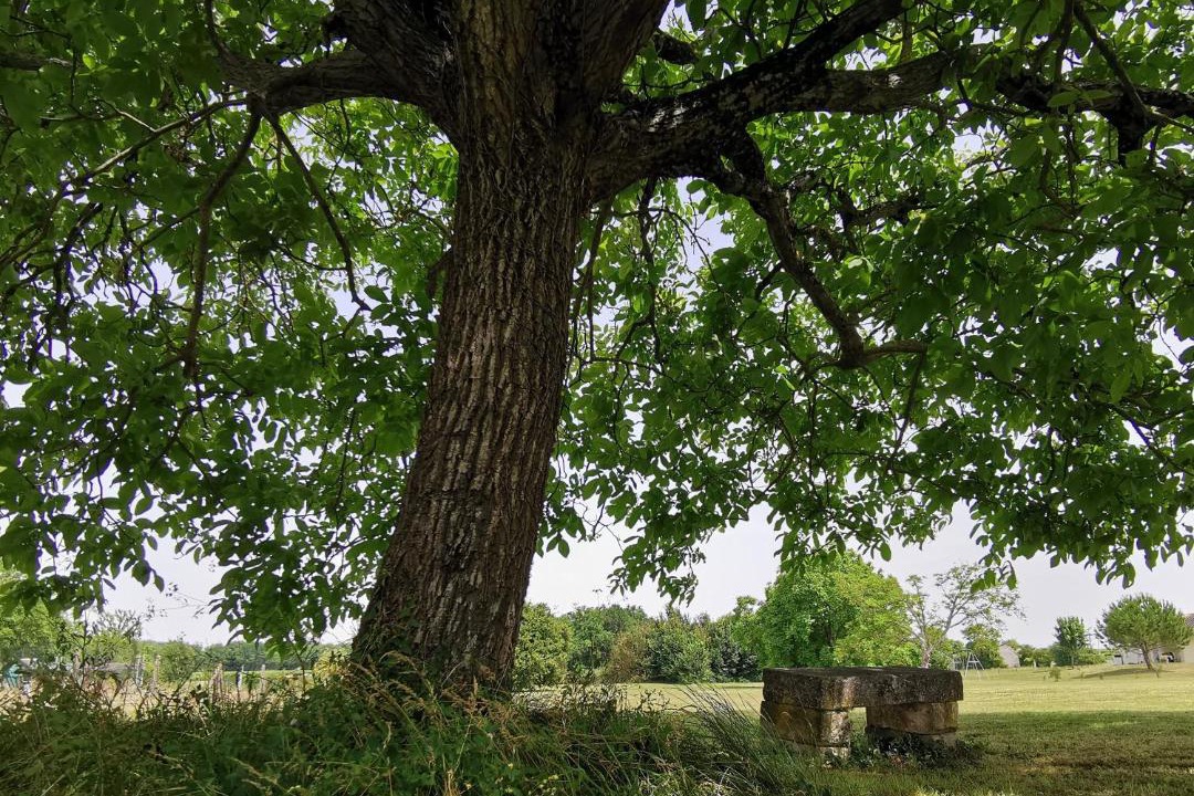 Photo of Others in Segonzac