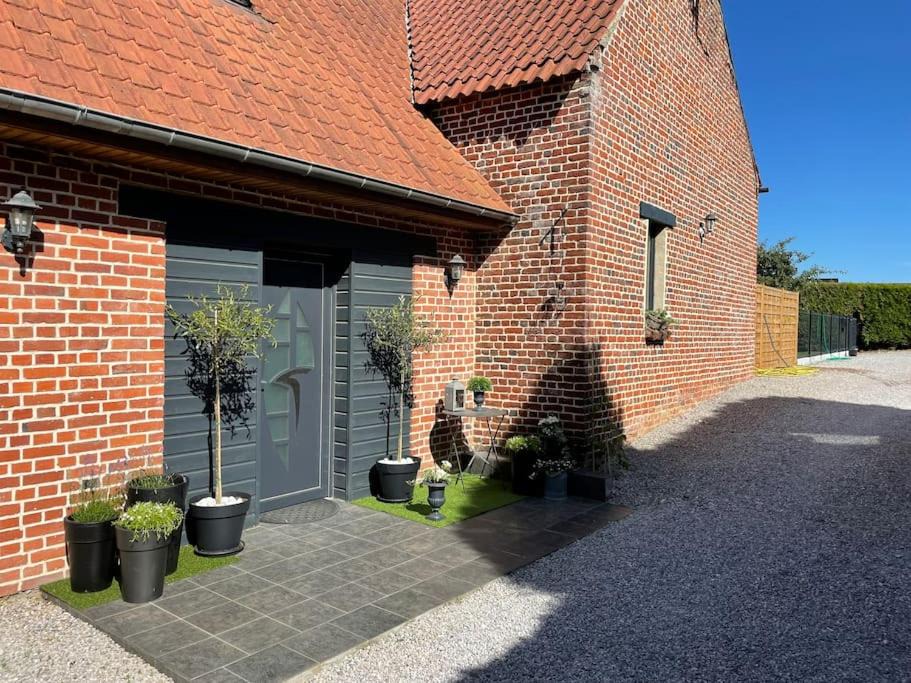 Photo of Others in Saint-Martin-lez-Tatinghem