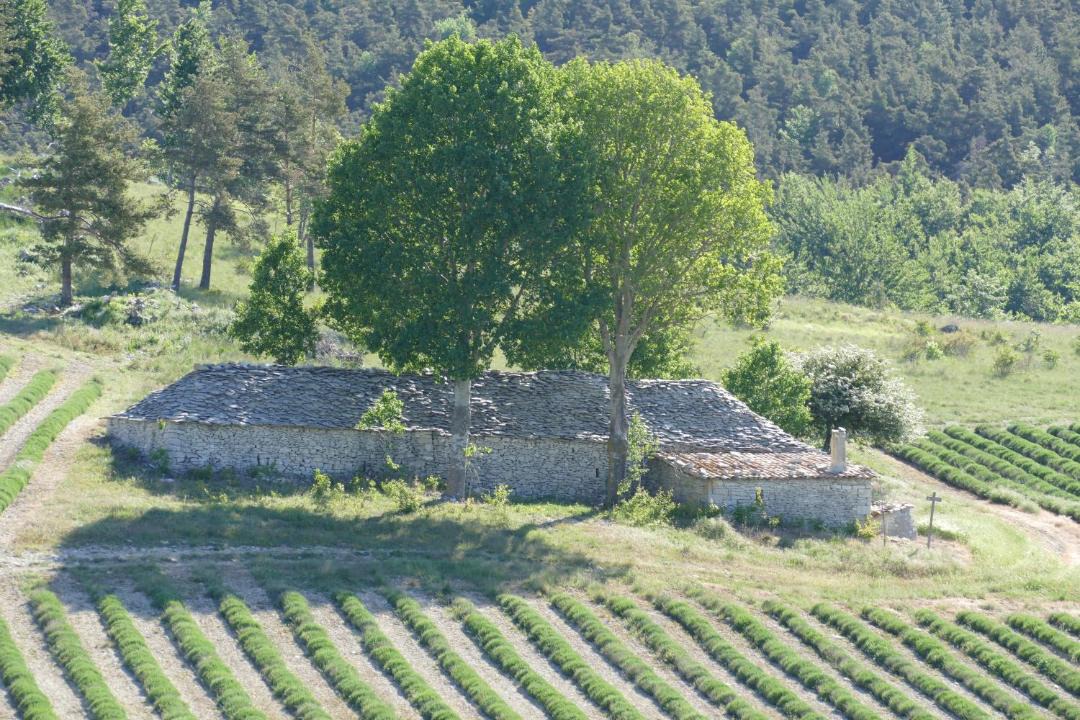 Photo of Others in La Rochegiron